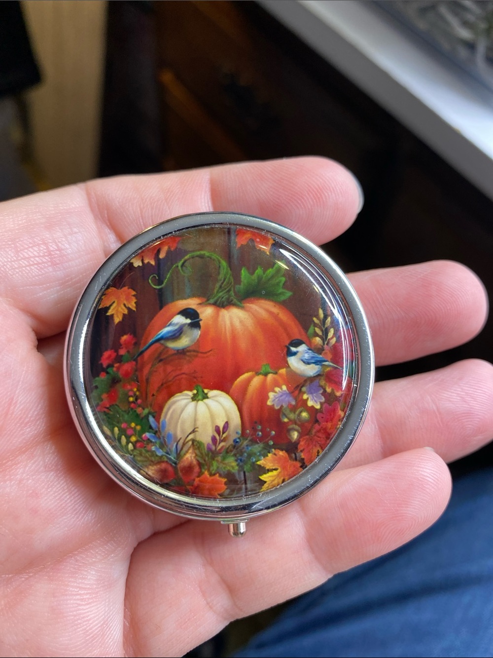 Autumn Pumpkin Pill Box with Bluebird Motif - Orange & White